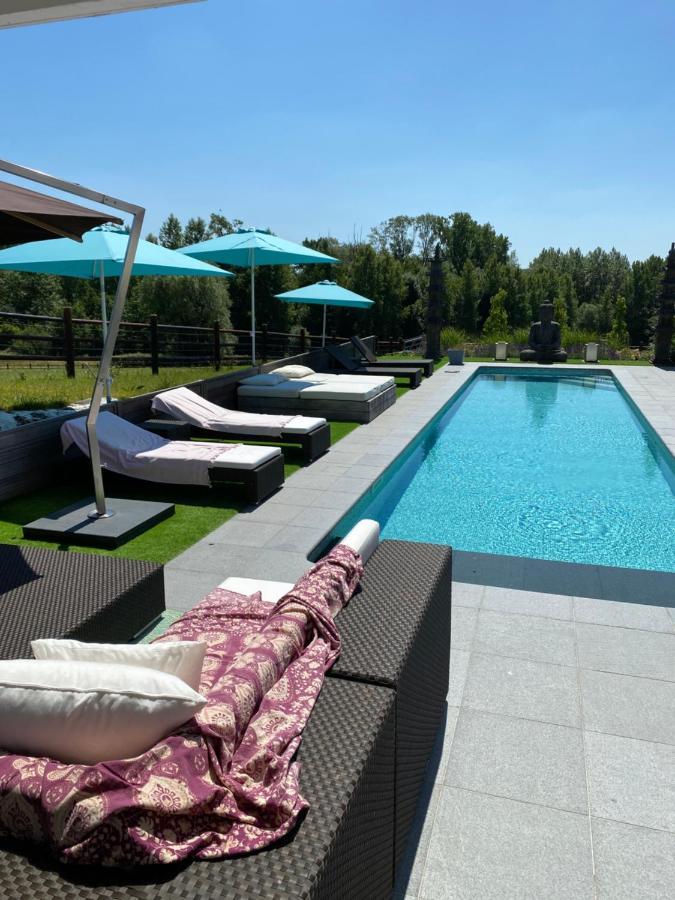 B&B La Douceur De La Miclette Ellezelles Ngoại thất bức ảnh