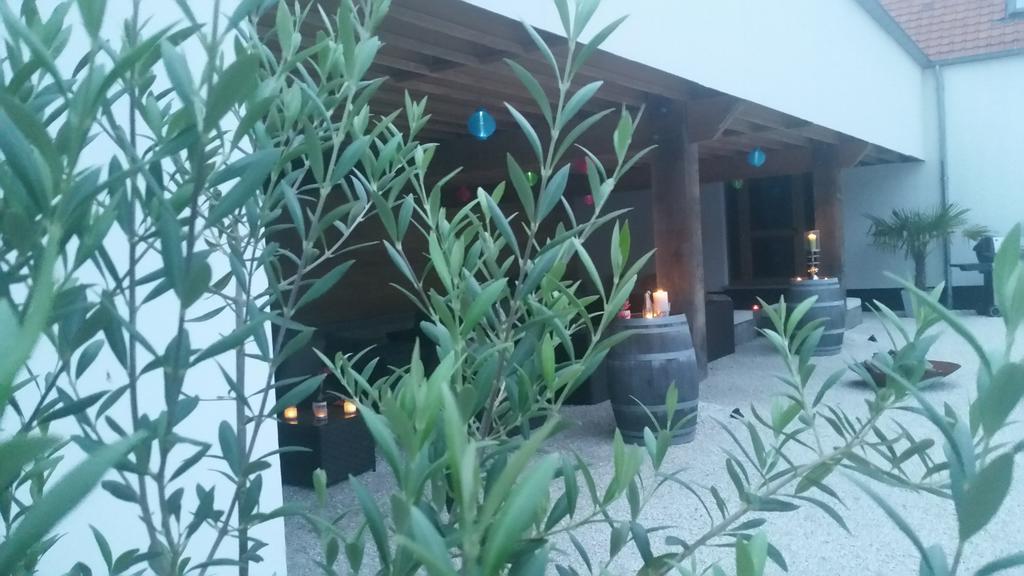 B&B La Douceur De La Miclette Ellezelles Ngoại thất bức ảnh